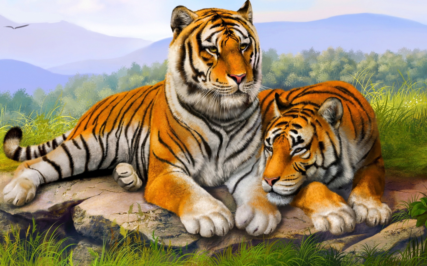 Обои Tiger Family 1440x900
