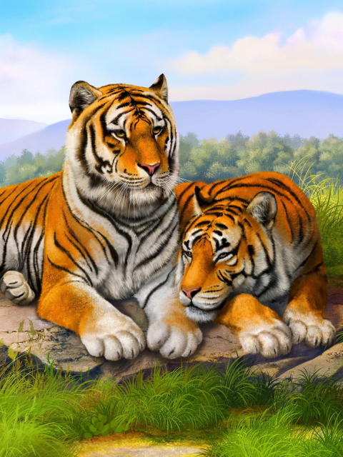 Fondo de pantalla Tiger Family 480x640