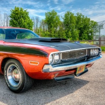 Dodge Challenger 1970 wallpaper 208x208