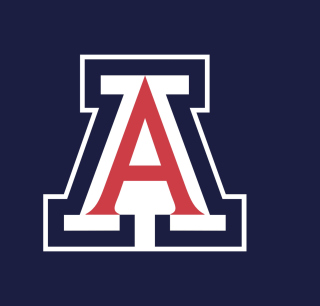 Arizona Wildcats - Obrázkek zdarma pro iPad Air