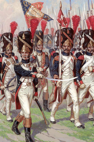 Обои Napoleonic Wars Old Guard 320x480