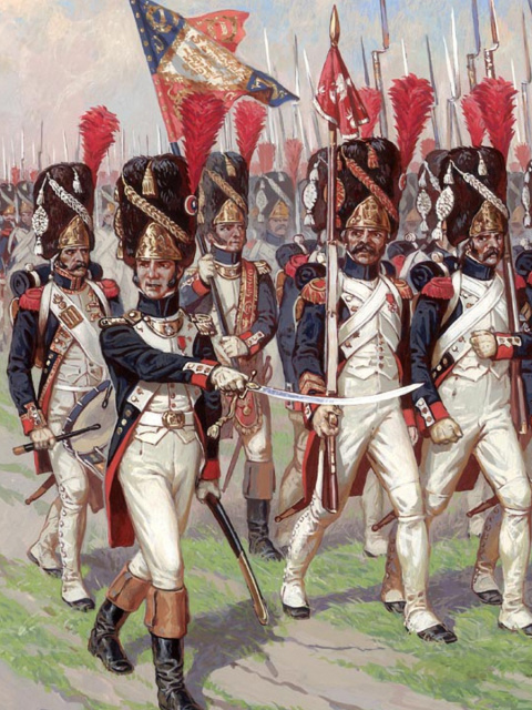 Napoleonic Wars Old Guard wallpaper 480x640