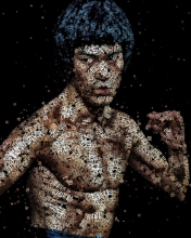 Обои Bruce Lee Artistic Portrait 176x220