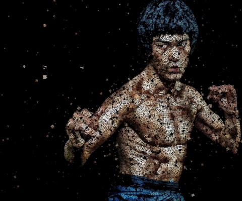 Screenshot №1 pro téma Bruce Lee Artistic Portrait 480x400