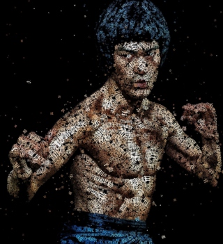 Bruce Lee Artistic Portrait - Obrázkek zdarma pro iPad 2