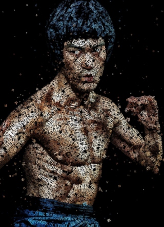 Bruce Lee Artistic Portrait - Obrázkek zdarma pro Nokia X6