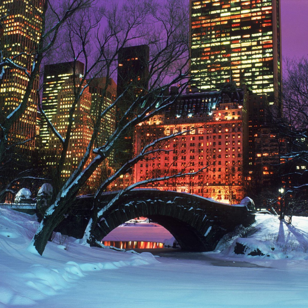 Fondo de pantalla Central Park In Winter 1024x1024
