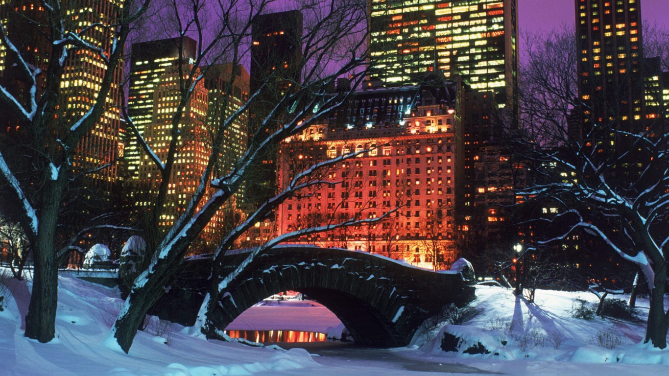 Screenshot №1 pro téma Central Park In Winter 1366x768