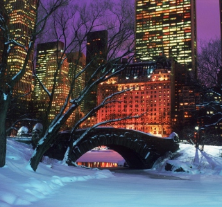 Central Park In Winter sfondi gratuiti per iPad