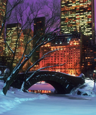 Central Park In Winter - Obrázkek zdarma pro 176x220