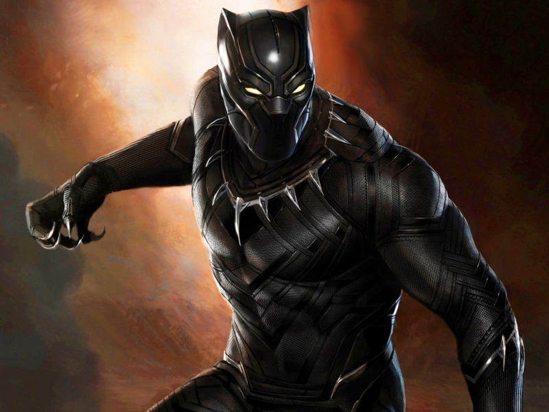 Screenshot №1 pro téma Black Panther 2016 Movie 800x600