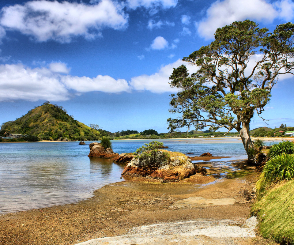 Das African landscape on Lake Victoria Wallpaper 960x800