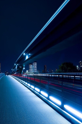 Bridge In Tokyo screenshot #1 320x480