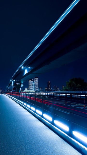 Bridge In Tokyo screenshot #1 360x640