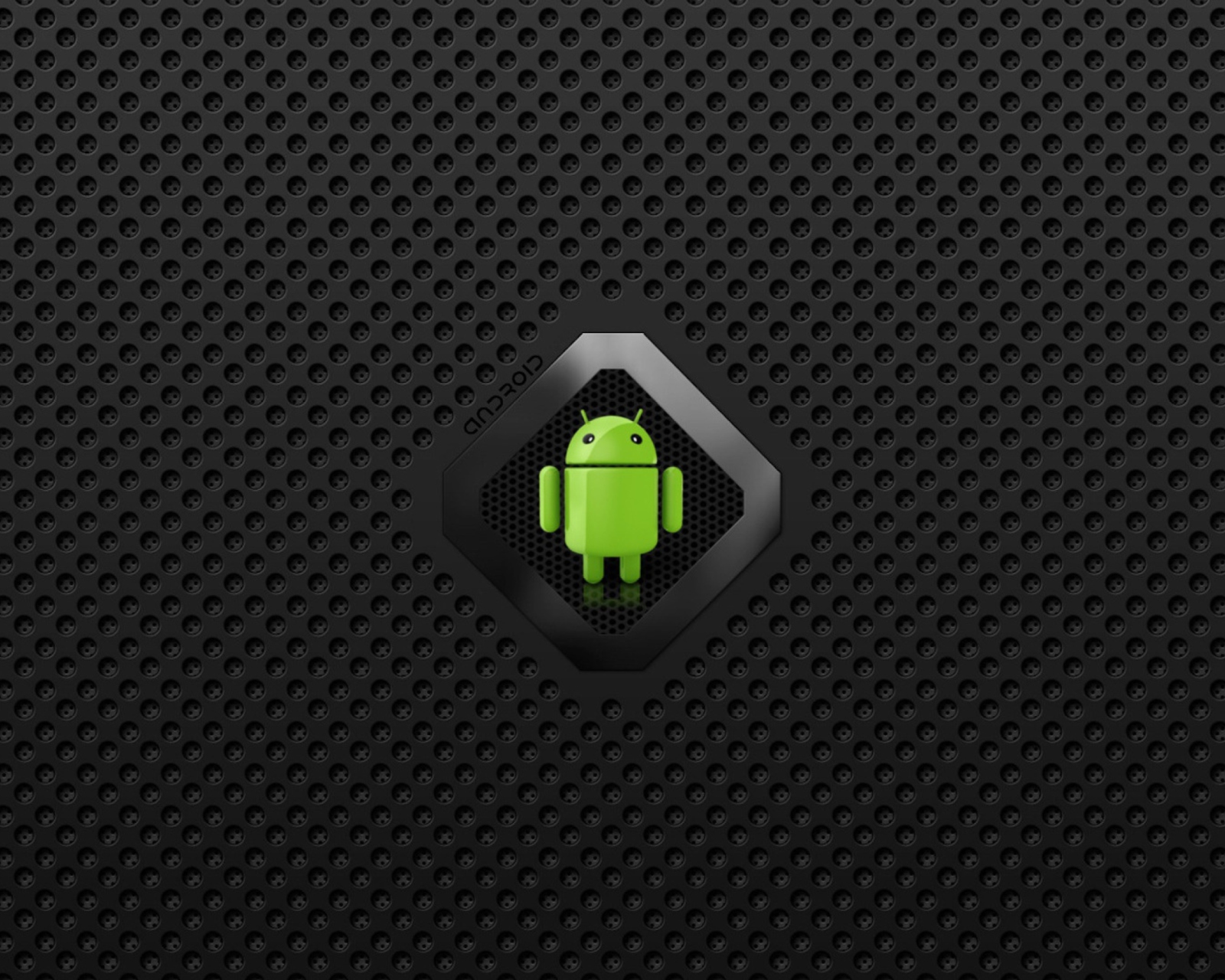 Обои Android Logo 1600x1280