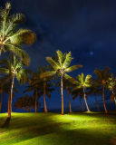 Das Oahu Hawaii Landscape Wallpaper 128x160
