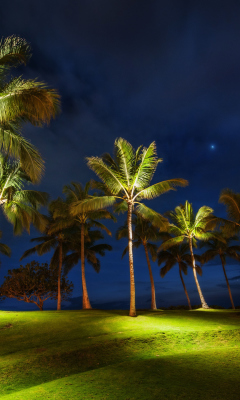 Oahu Hawaii Landscape wallpaper 240x400