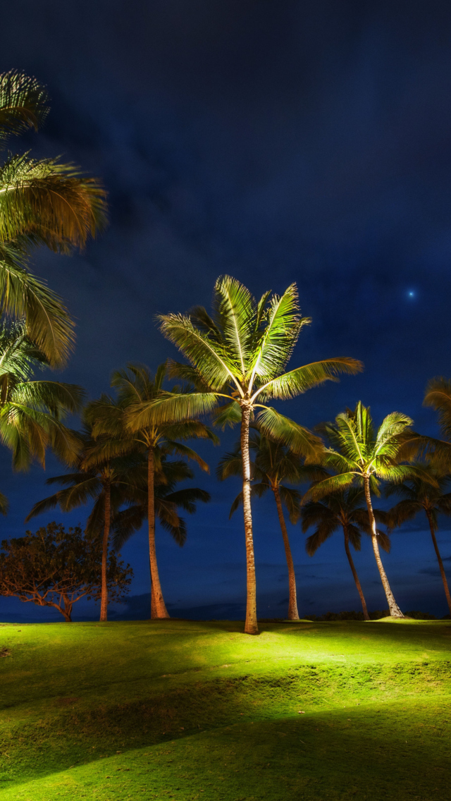 Fondo de pantalla Oahu Hawaii Landscape 640x1136