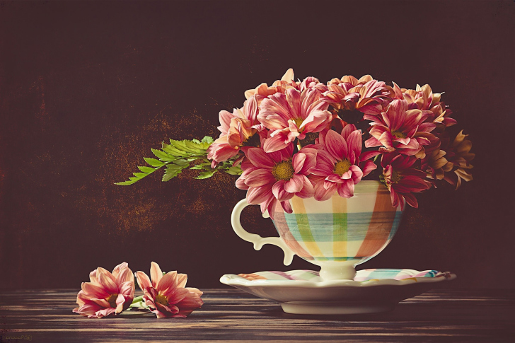 Обои Chrysanthemums in ingenious vase