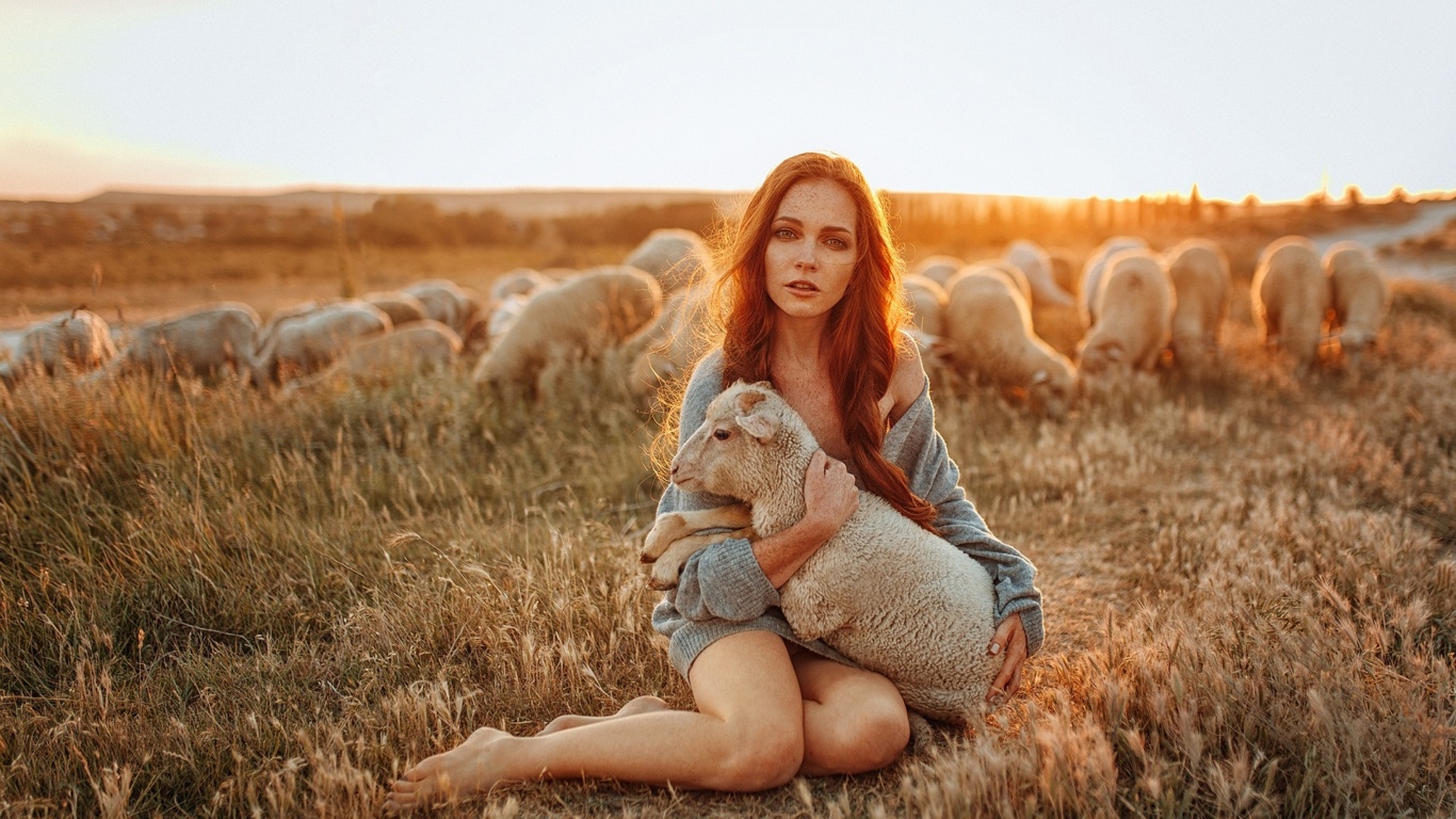 Обои Girl with Sheep 1366x768