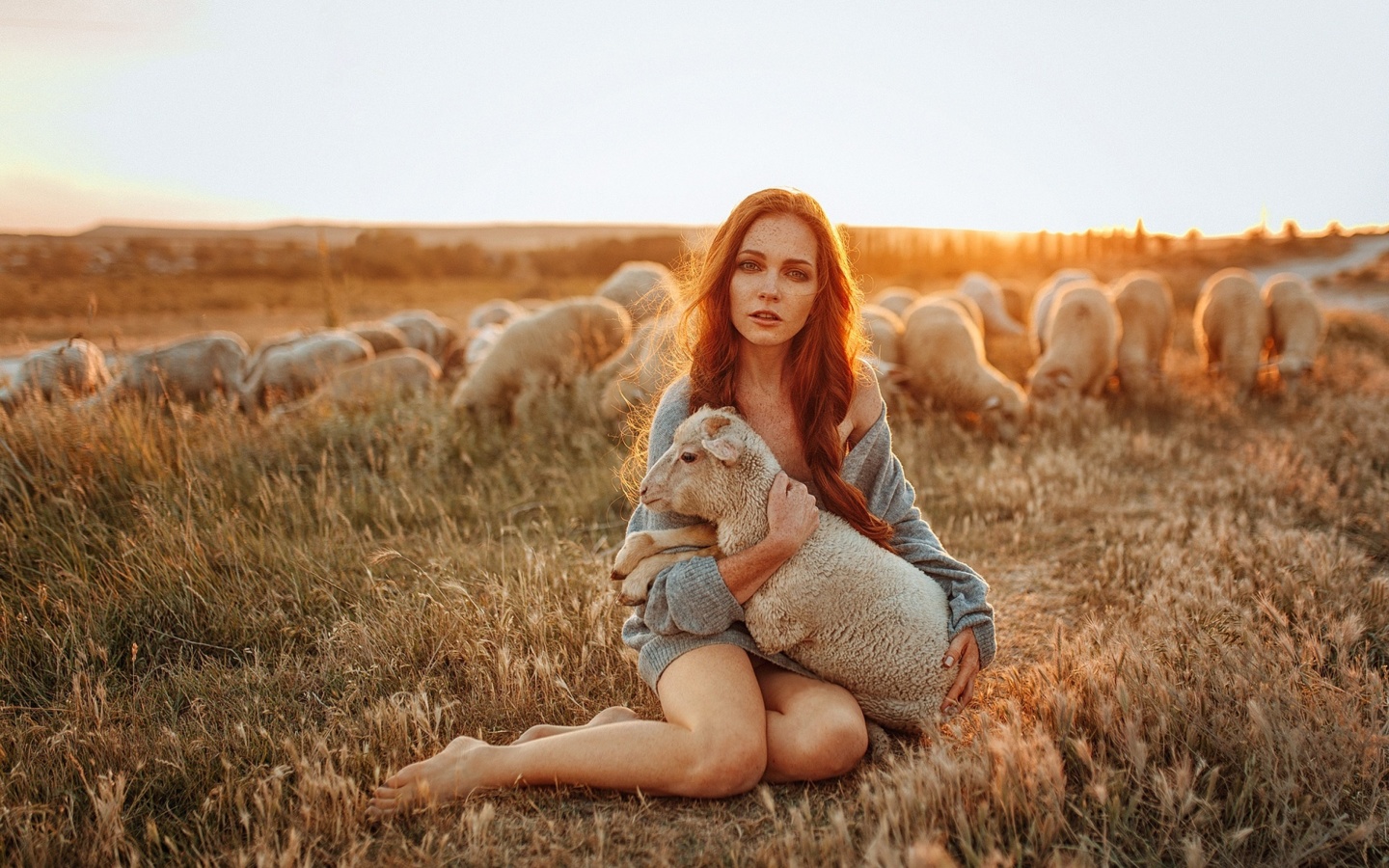 Обои Girl with Sheep 1440x900