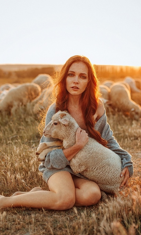 Das Girl with Sheep Wallpaper 480x800