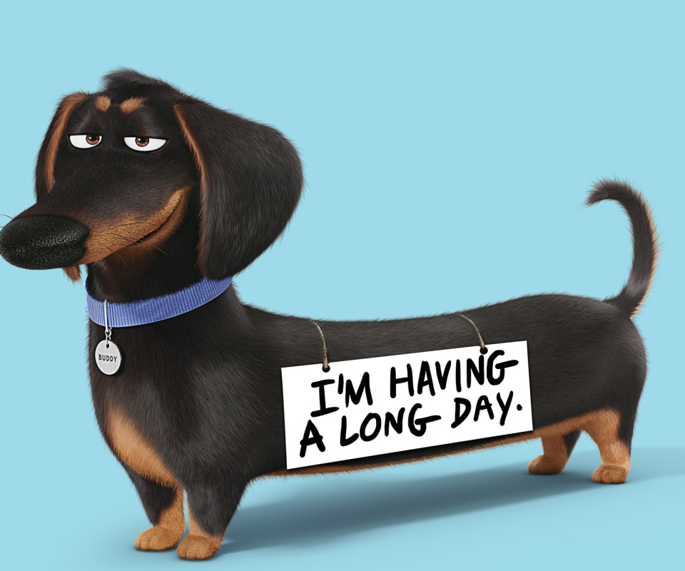 Buddy from The Secret Life of Pets screenshot #1 960x800