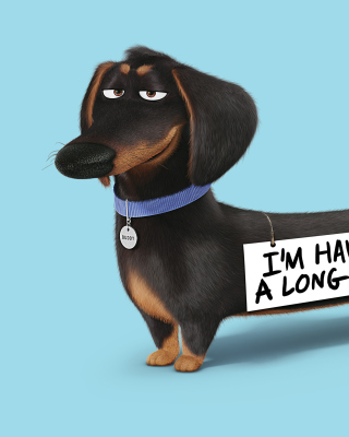 Kostenloses Buddy from The Secret Life of Pets Wallpaper für Nokia Lumia 2520