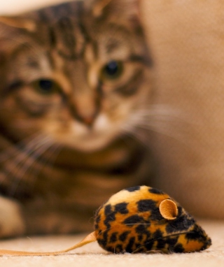 Cat And Mouse Toy - Obrázkek zdarma pro 768x1280