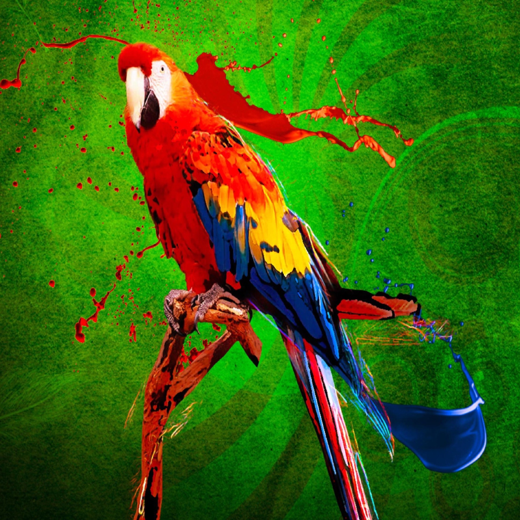 Fondo de pantalla Big Parrot In Zoo 1024x1024