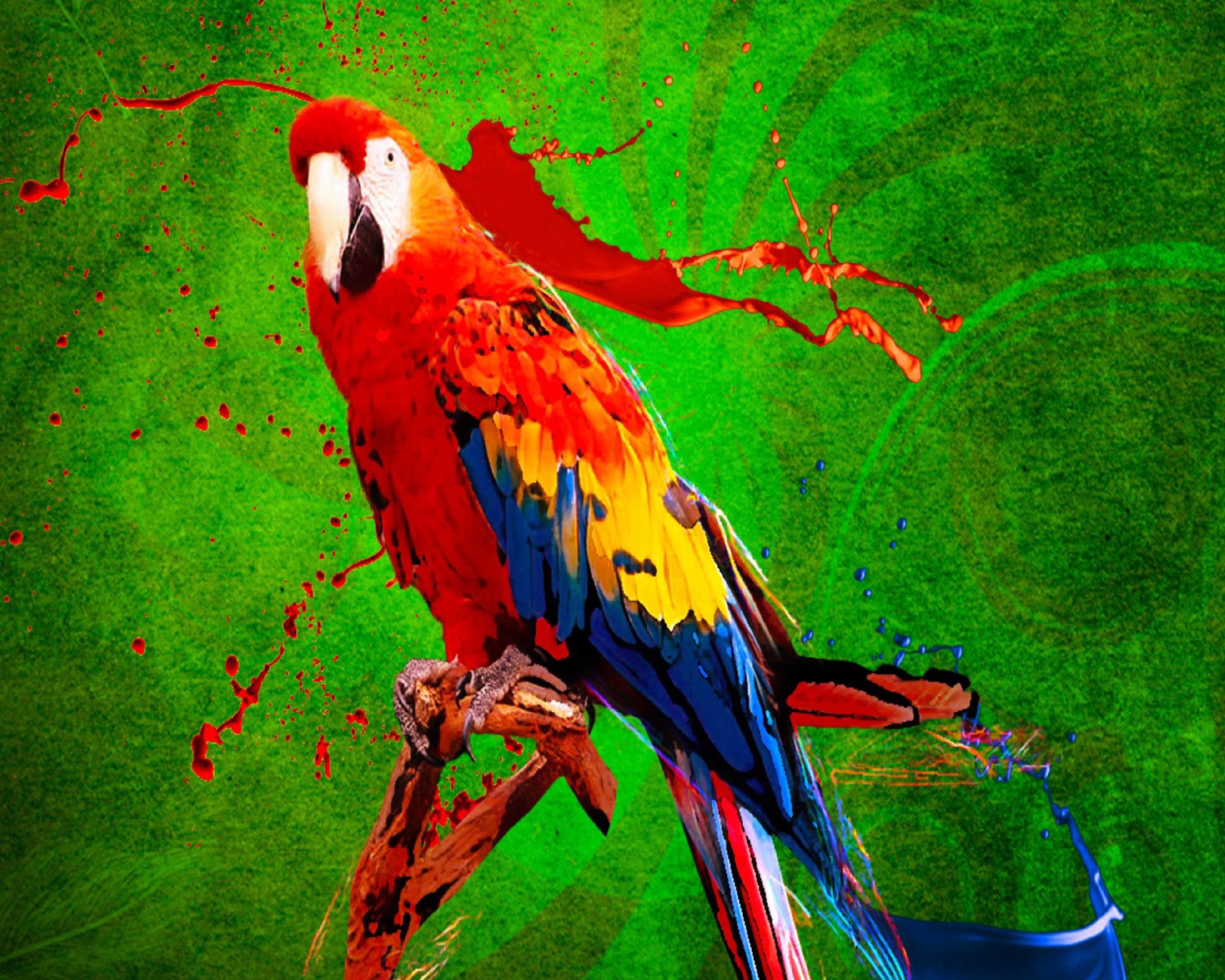 Fondo de pantalla Big Parrot In Zoo 1600x1280