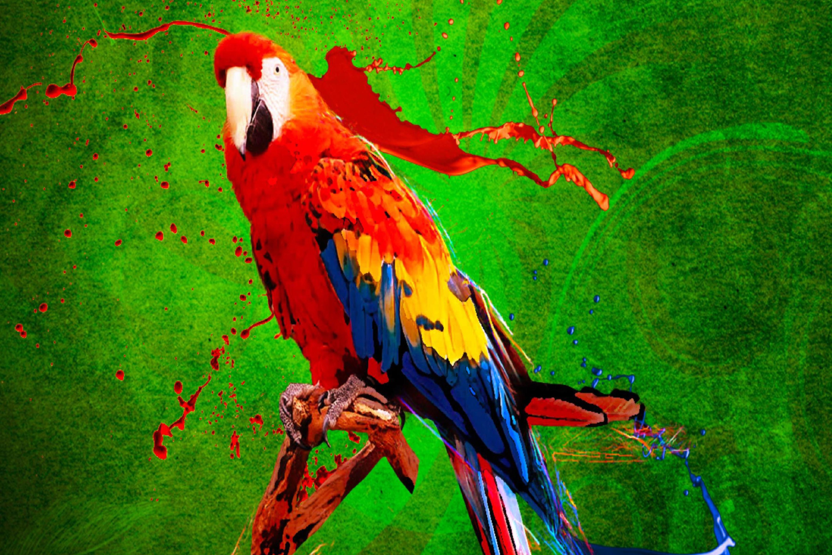 Fondo de pantalla Big Parrot In Zoo 2880x1920