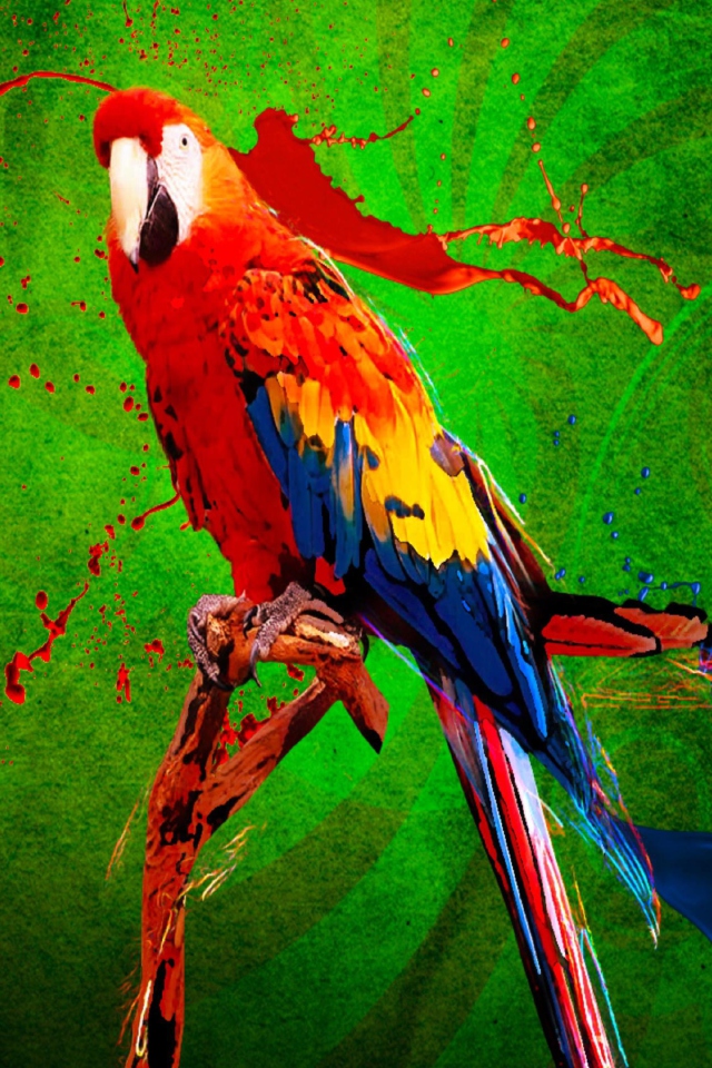 Big Parrot In Zoo wallpaper 640x960