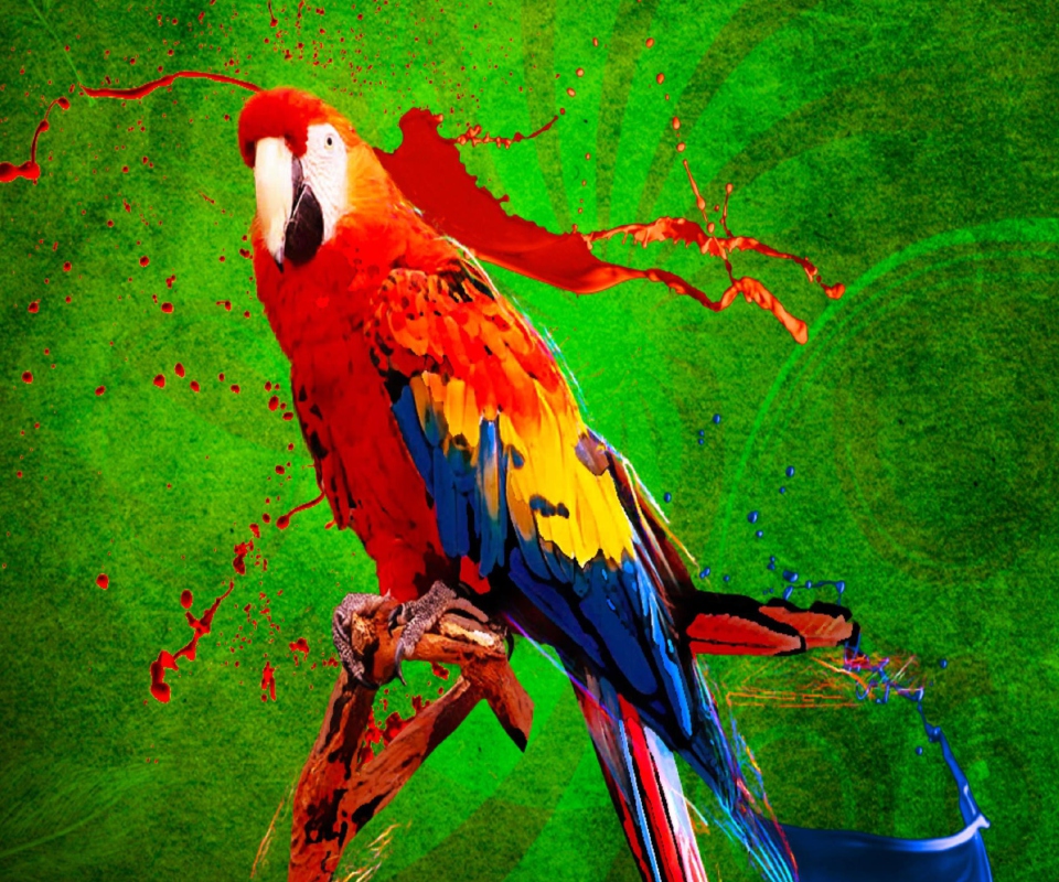 Обои Big Parrot In Zoo 960x800