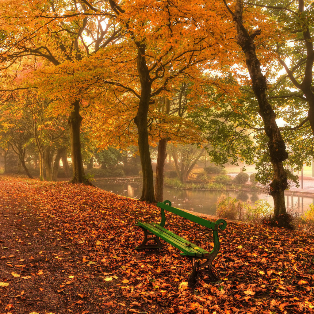 Das Autumn in Patterson Park Wallpaper 1024x1024