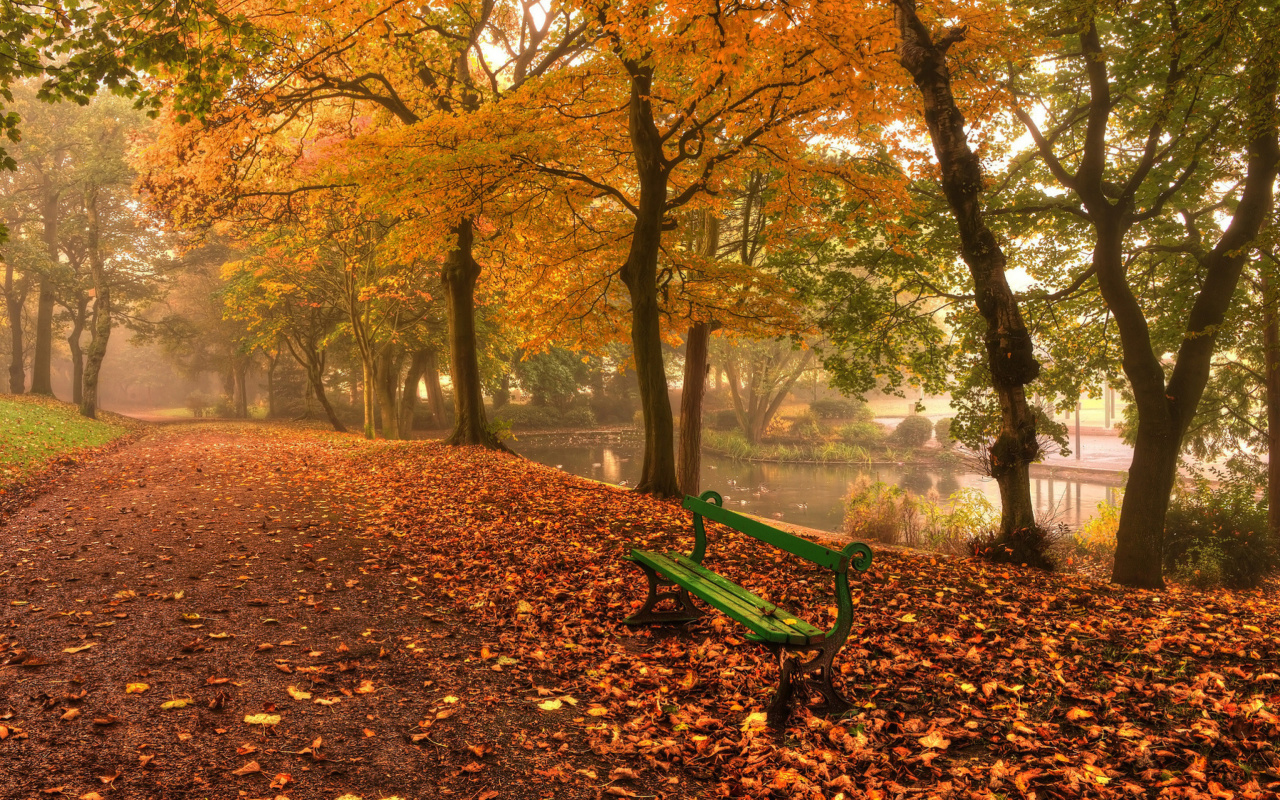 Fondo de pantalla Autumn in Patterson Park 1280x800