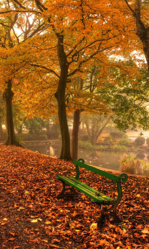 Autumn in Patterson Park wallpaper 480x800