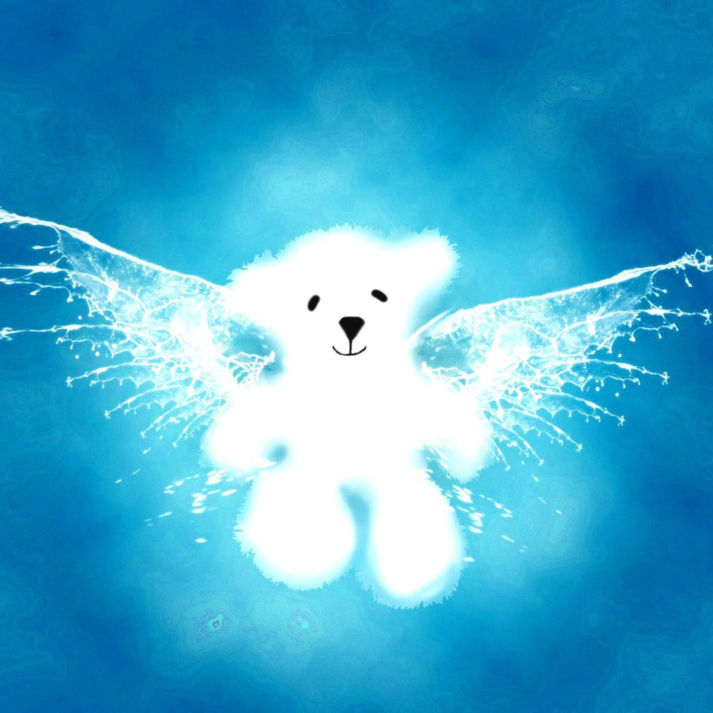 Fondo de pantalla Angel Bear 1024x1024