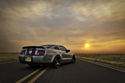Das Ford Mustang Shelby GT500 Wallpaper 480x320