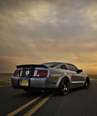 Ford Mustang Shelby GT500 - Obrázkek zdarma pro iPhone 5S