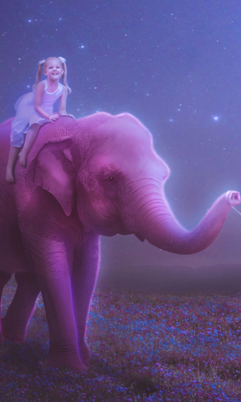Fondo de pantalla Child And Elephant 480x800