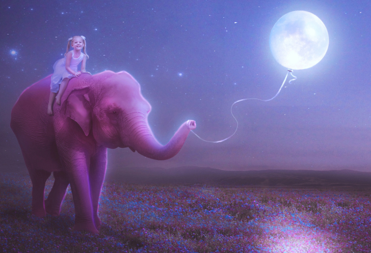 Child And Elephant wallpaper