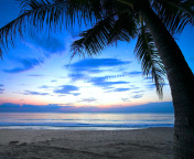 Caribbean Beach screenshot #1 176x144