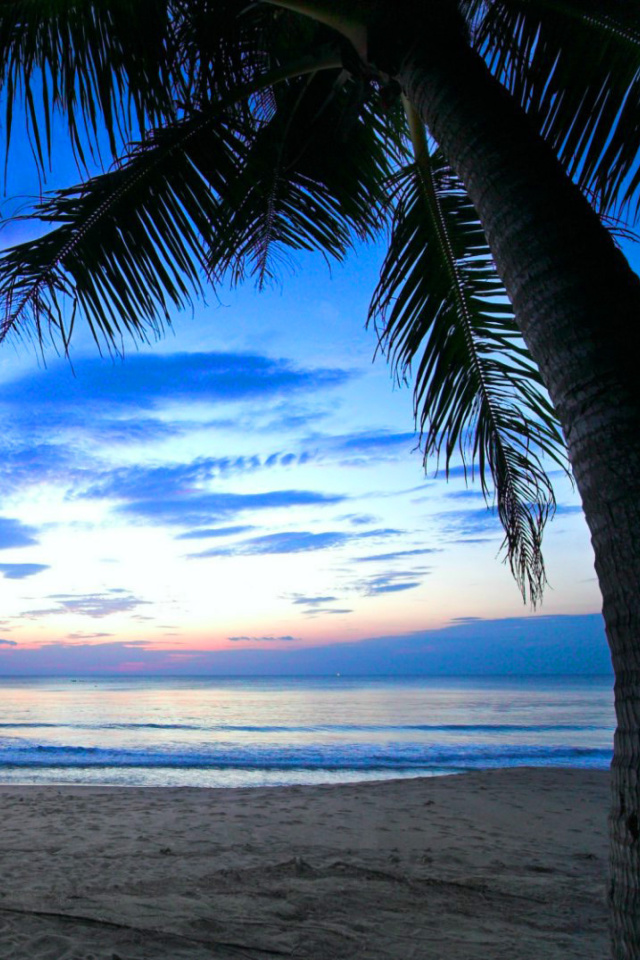 Caribbean Beach screenshot #1 640x960