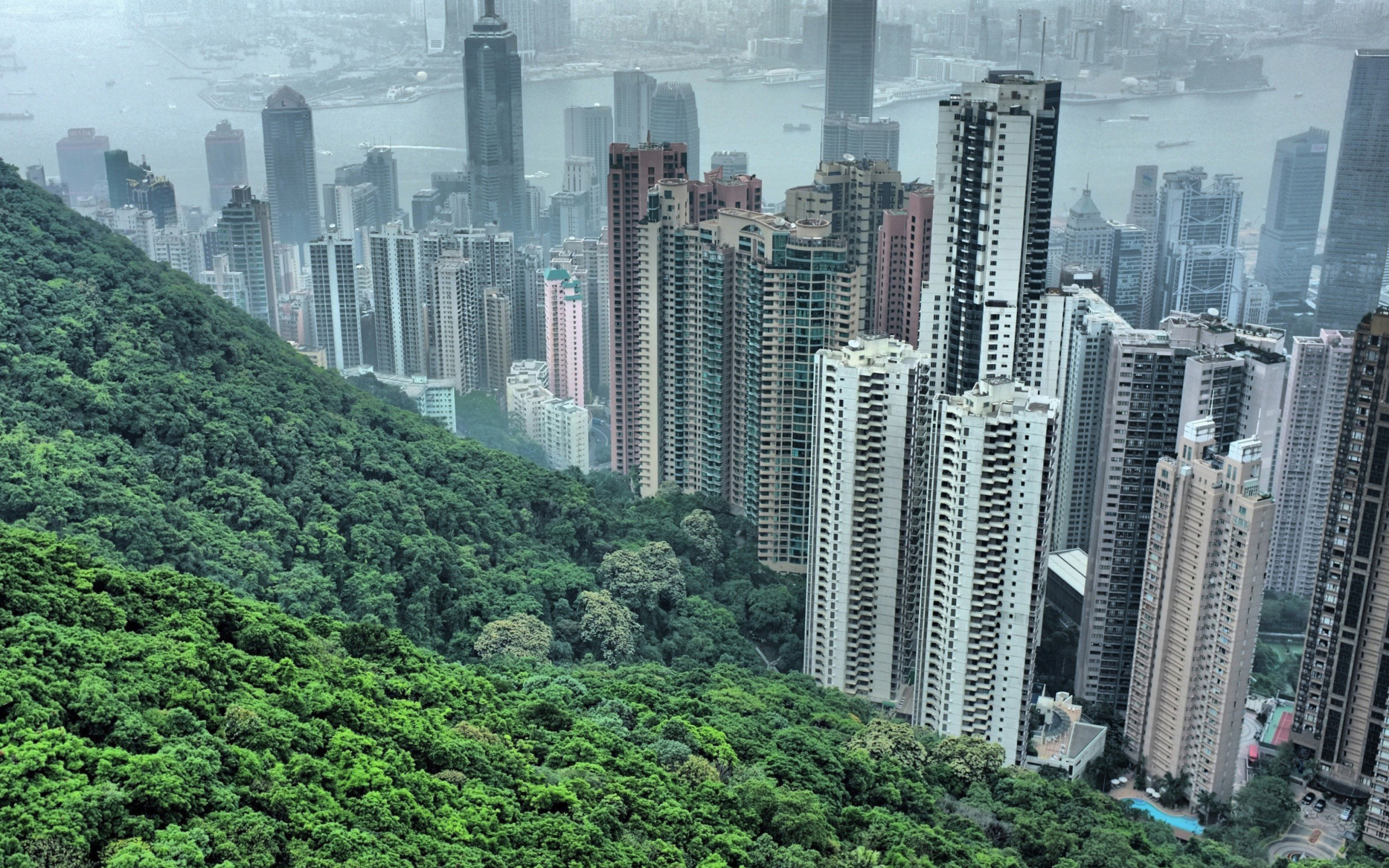 Das Hong Kong Hills Wallpaper 2560x1600
