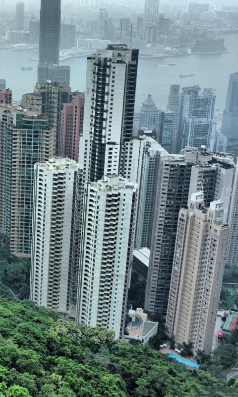 Screenshot №1 pro téma Hong Kong Hills 480x800