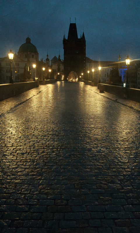 Screenshot №1 pro téma Night In Prague 480x800