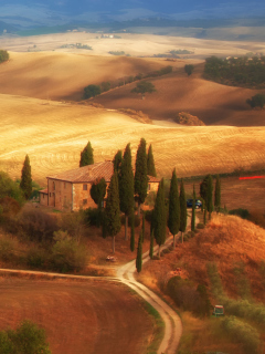 Das Italy, Tuscany Wallpaper 240x320