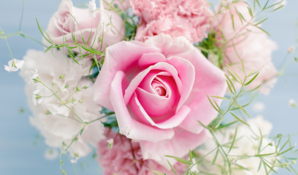 Обои Beautiful Pink Rose 1024x600