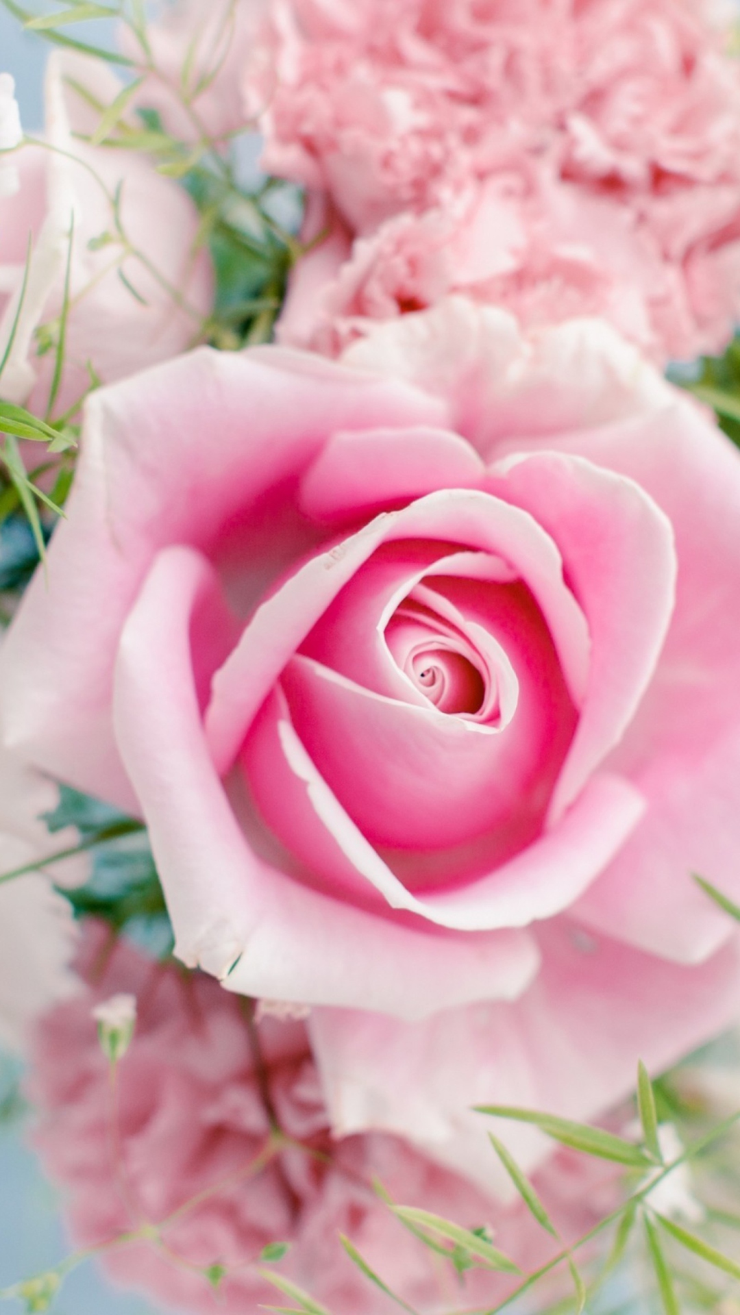 Sfondi Beautiful Pink Rose 1080x1920